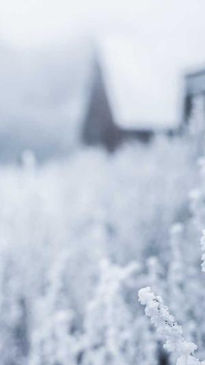 seo刷快排工具截图4