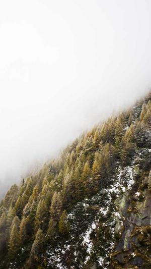 网站建设的公截图1