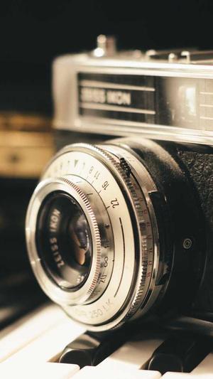 免费蜘蛛池程序截图1