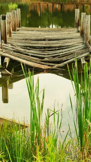 seo超级外链工具免费截图3