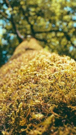 园区网站建设截图3