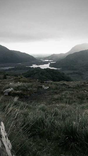 广州建设工程交易中心网站截图1