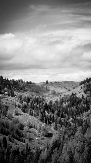 泛目录怎么做seo截图2