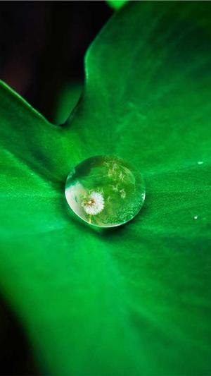 蜘蛛池创建教程图解截图2