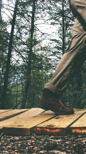 最新蜘蛛池免费版下载截图1