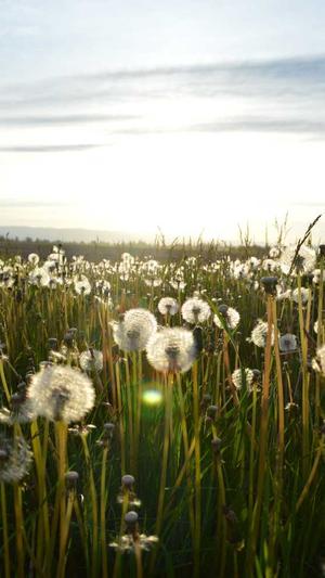 武汉seo推广工具截图3