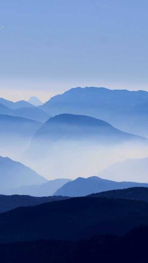 seo优化网络截图5