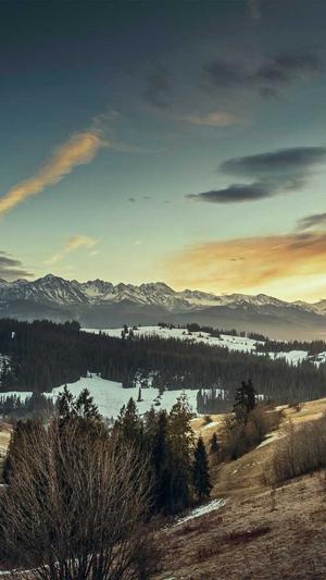 泛目录shell源码截图2