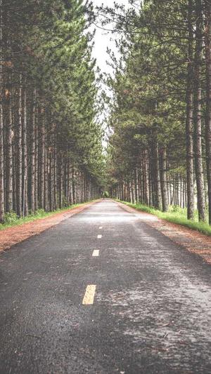 蜘蛛池都是租域名吗截图2