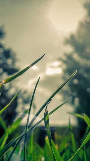 seo泛目录使用教程截图5