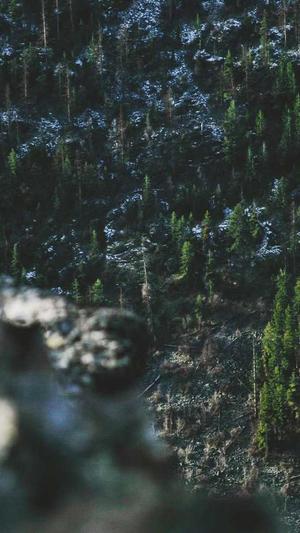 泛目录seo 资源截图3