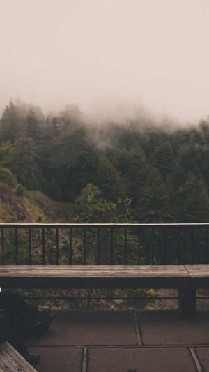 小旋风蜘蛛池教程攻略截图3