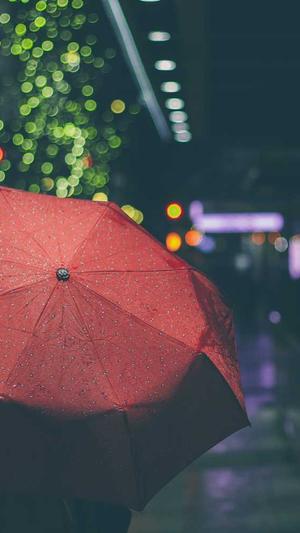 黑帽蜘蛛池4.9截图4