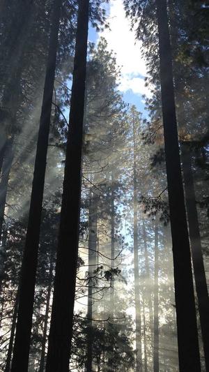 seo外链分析工具截图2