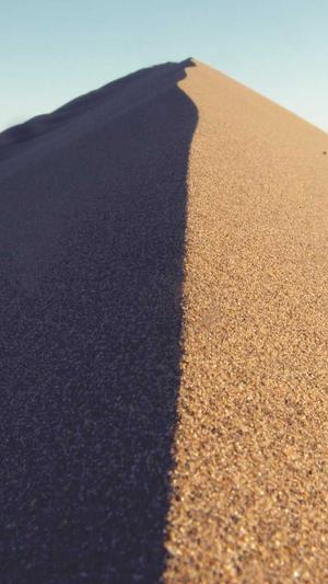 逐鹿泛目录站群完整源码截图4