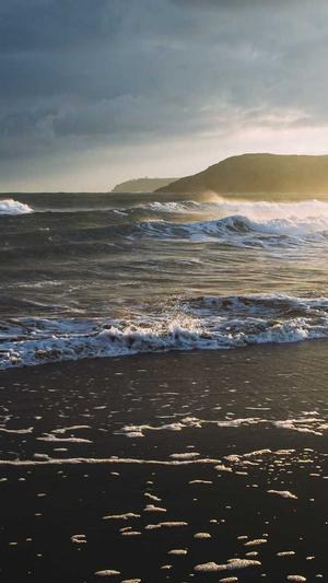 免费的seo查询工具分类截图3