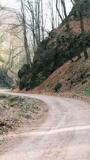 搜狗泛目录站群截图2