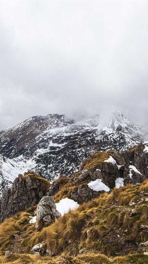 上海移动网站建设截图2