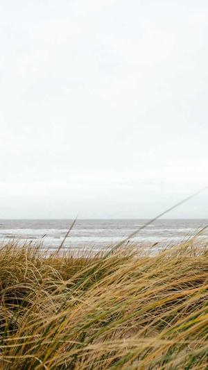 seo搜索引擎工具截图2