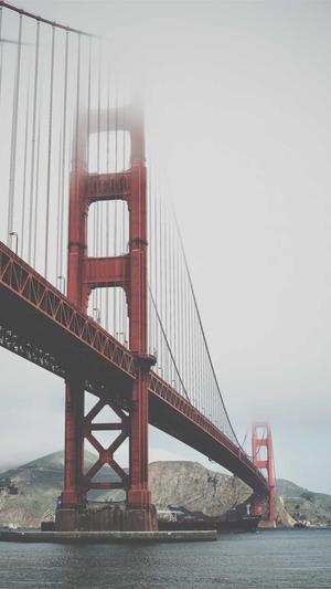 松江网站建设截图3