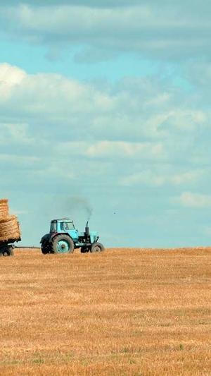 山东网站建设截图2