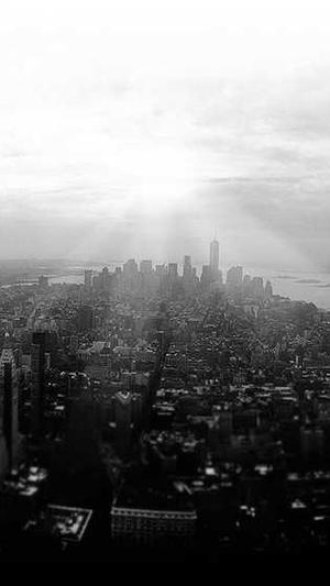 站外seo优化工具截图3