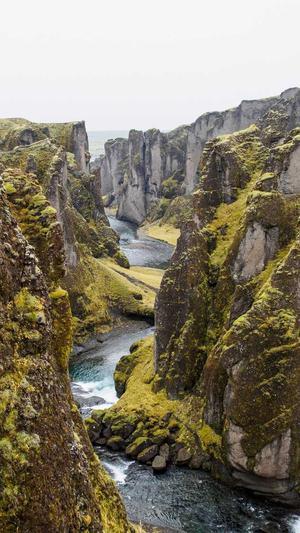 seo推广一个月见效截图4