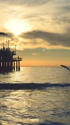 蜘蛛池域名没收录截图2