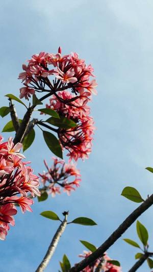 泛目录shell源码截图1