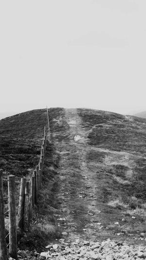 如何做seo推广蜘蛛池截图2