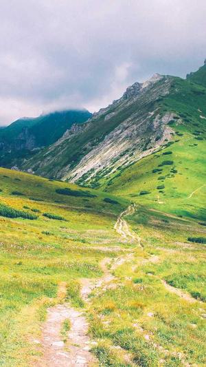 保定seo工具截图1