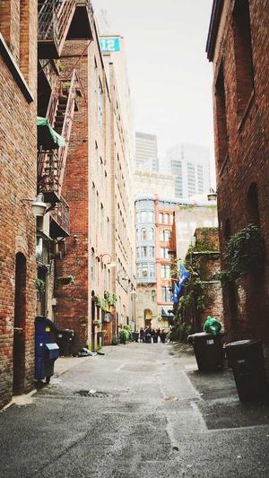 重庆seo优化费用截图2