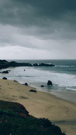 网站建设基础知识截图1