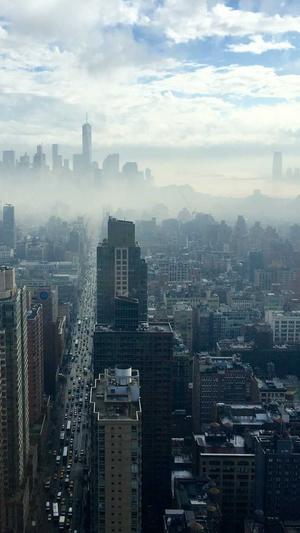 seo外链分析工具截图1