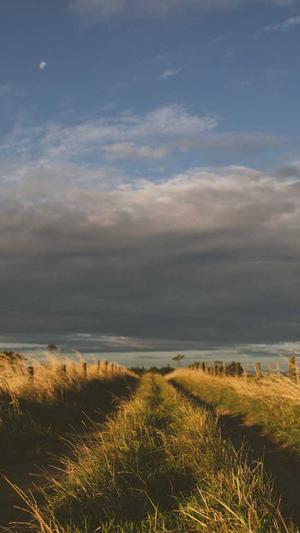 泛目录站群词霸截图3