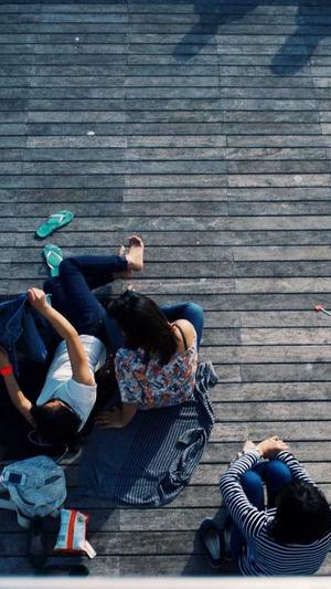 seo专业优化截图3