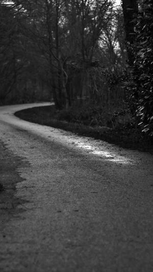 徐汇网站建设截图5