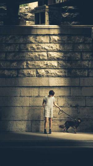 seo关键词优化价格截图1