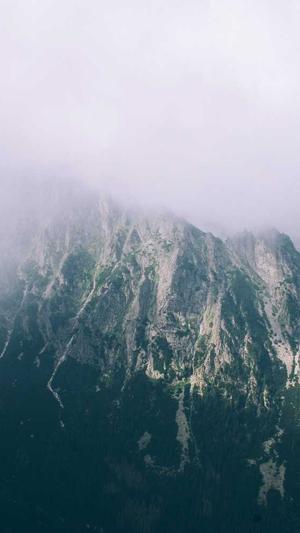 蜘蛛池租用包月多少钱截图4