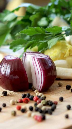 seo优化工具包截图3