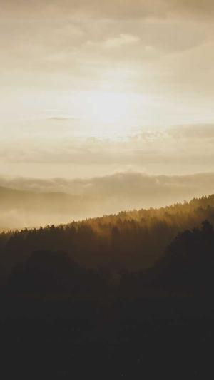 网站seo分析工具截图4