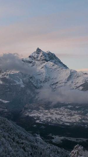 蜘蛛池怎么弄假蜘蛛巢截图3