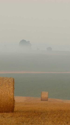 搭建小型蜘蛛池截图3