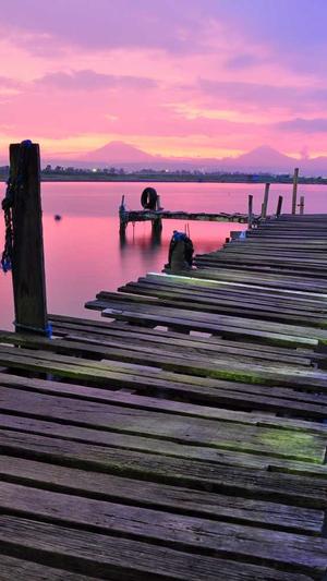 seo 外链工具截图4