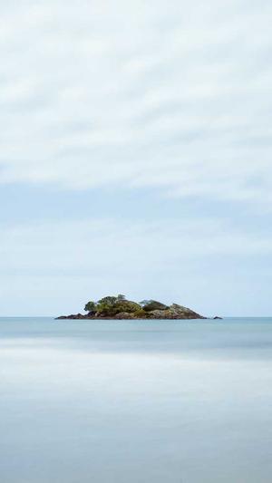 seo 优化 工具截图2