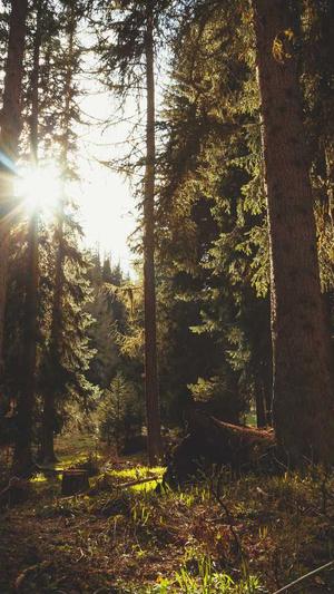 seo百度快排工具截图4