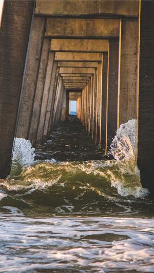 泛目录怎么做seo截图3