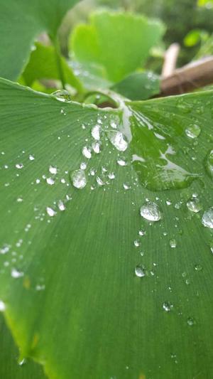 新网站seo优化截图3