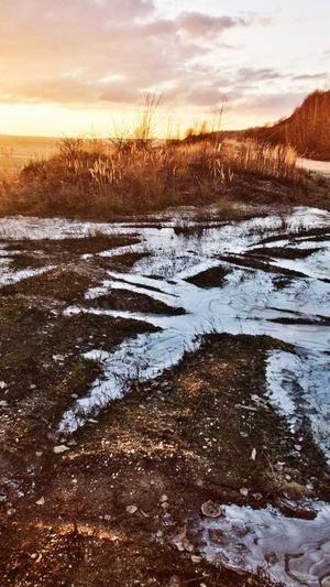 陈默外推软件蜘蛛池截图2