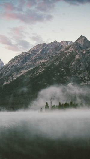 展览网站建设截图4